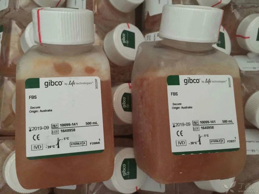 Gibco澳洲胎牛血清FBS库存图片