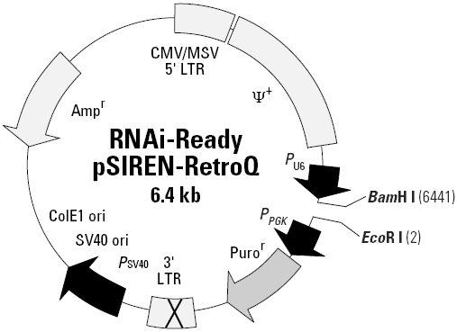 RNAi-Ready pSIREN-RetroQ载体图谱