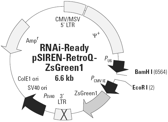 RNAi-Ready pSIREN-RetroQ-ZsGreen1载体图谱