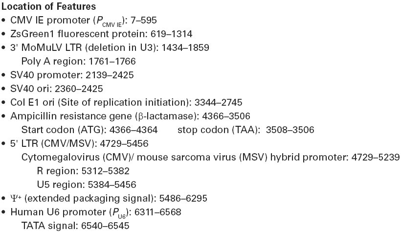 RNAi-Ready pSIREN-RetroQ-ZsGreen1载体特征