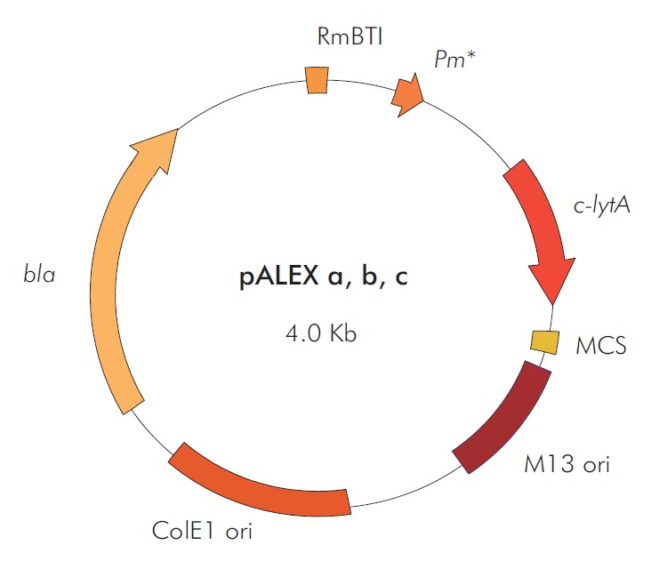 pALEX a,b,c載體圖譜