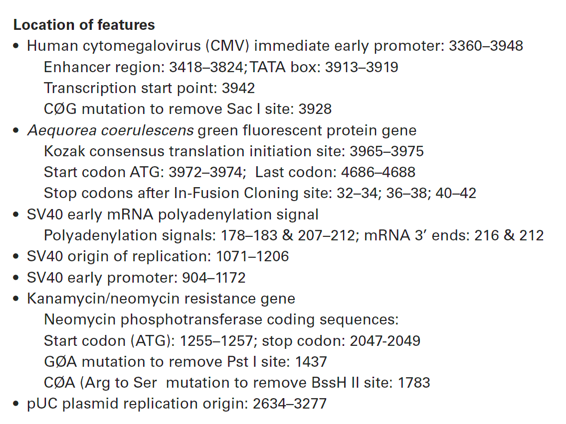 pAcGFP1-C In-Fusion Ready 载体特征