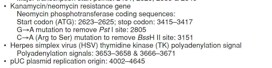pAcGFP1-C3 载体特征2