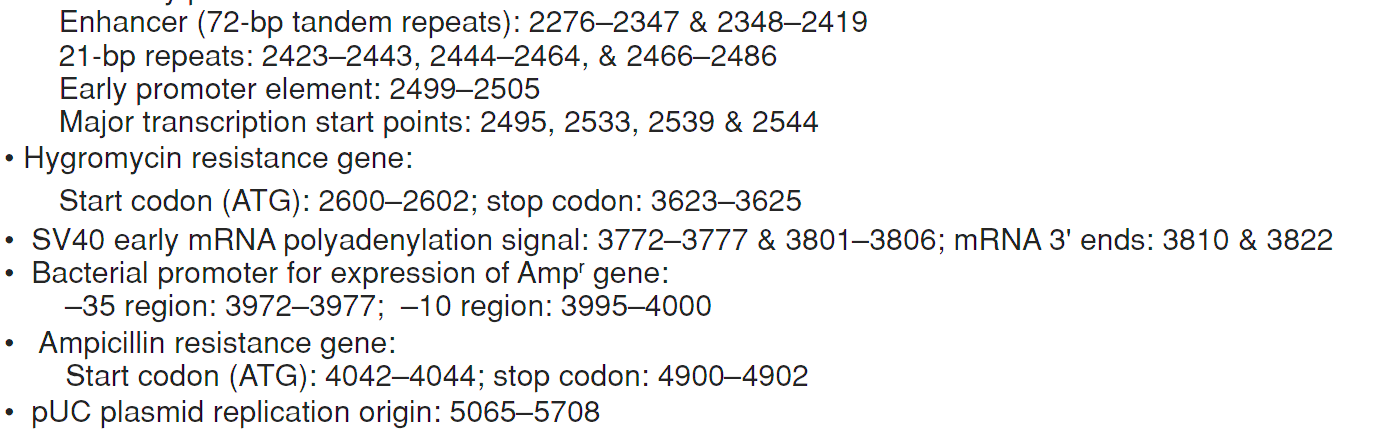 pAcGFP1-Hyg-C1 载体特征2