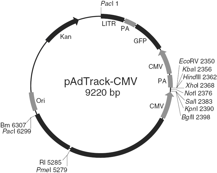 pAdTrack-CMV载体图谱