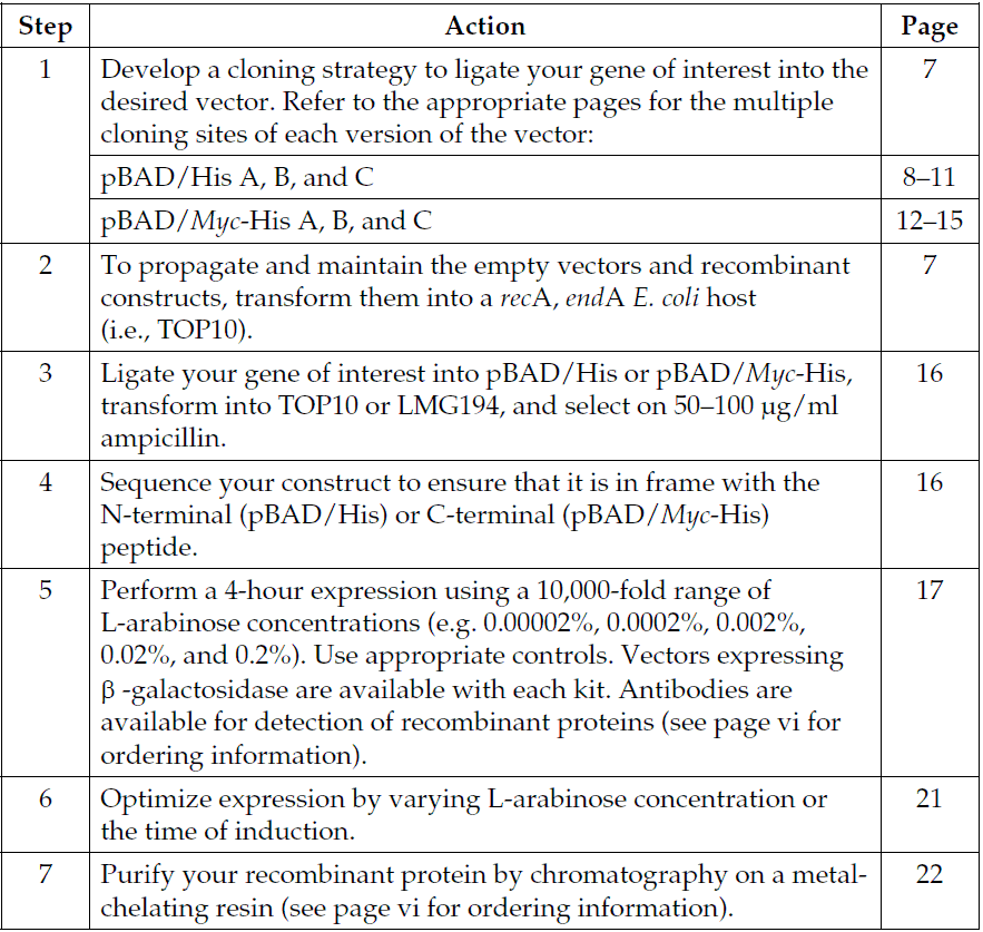 pBAD-His A,B,C 使用流程