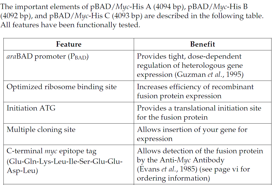 pBAD-Myc-His 载体特征1