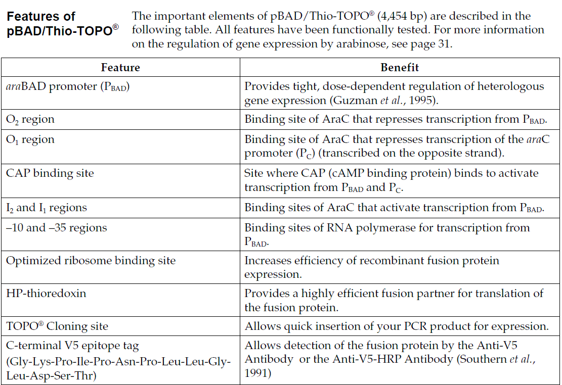 pBAD-Thio-TOPO 载体特征1