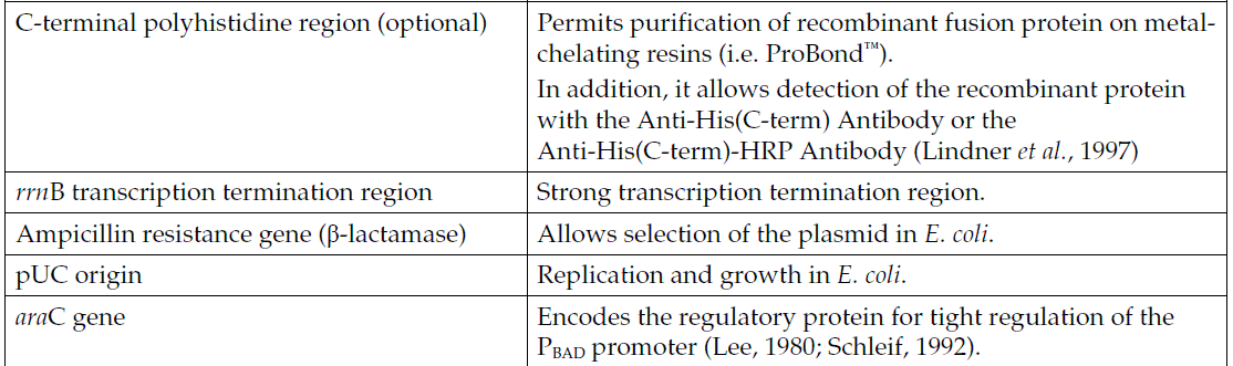 pBAD-Thio-TOPO 载体特征2