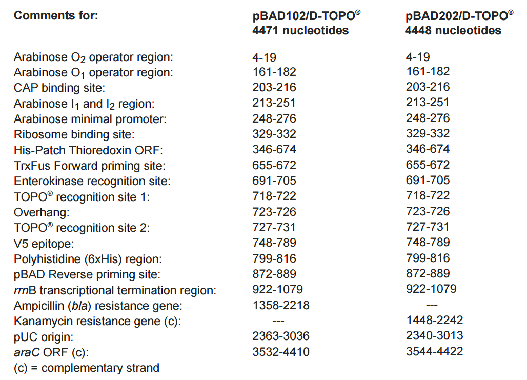 pBAD102-D-TOPO 特征位点