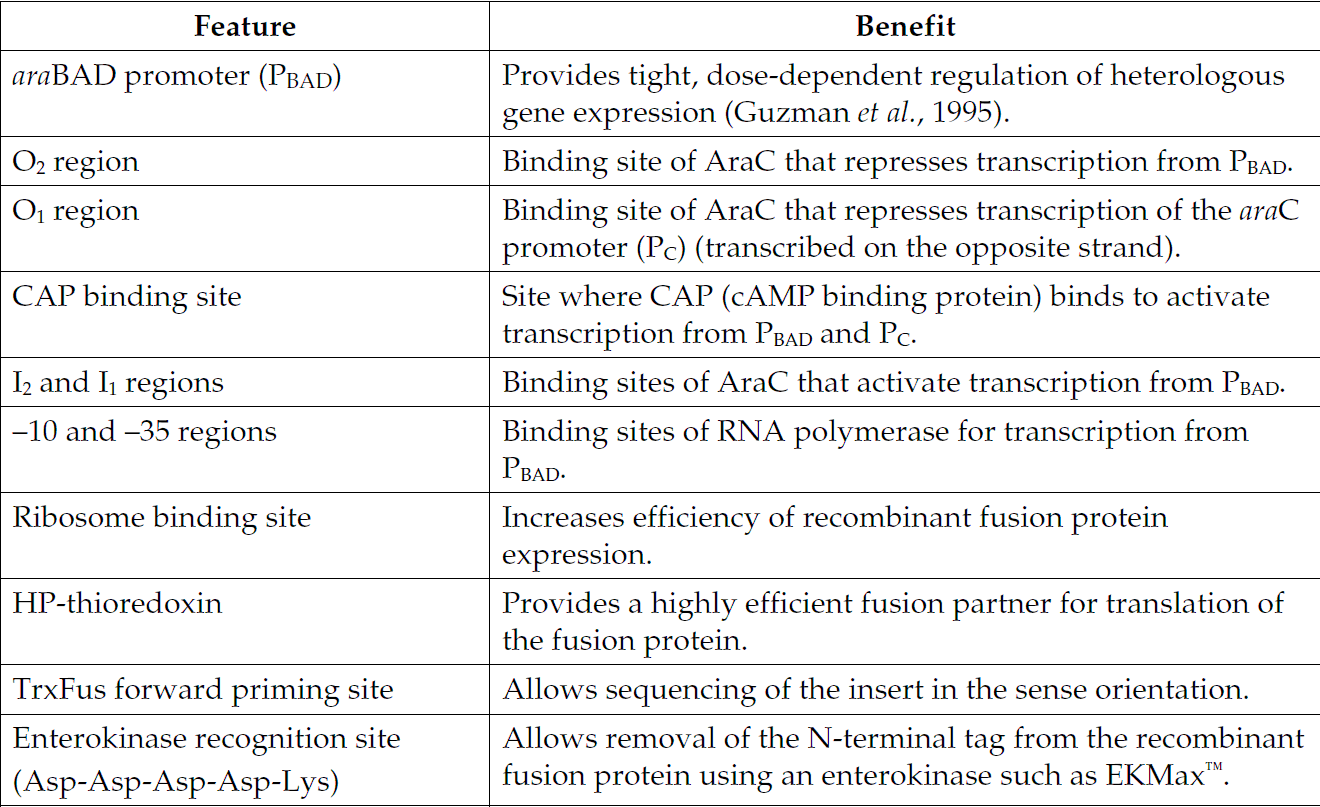 pBAD202-D-TOPO 载体特征1