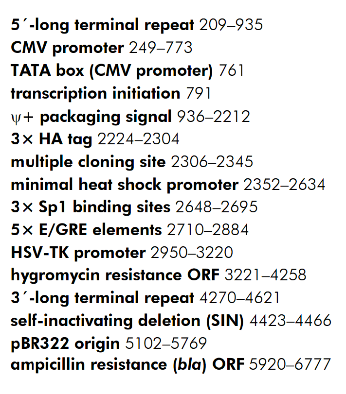 pCFB-EGSH 载体特征