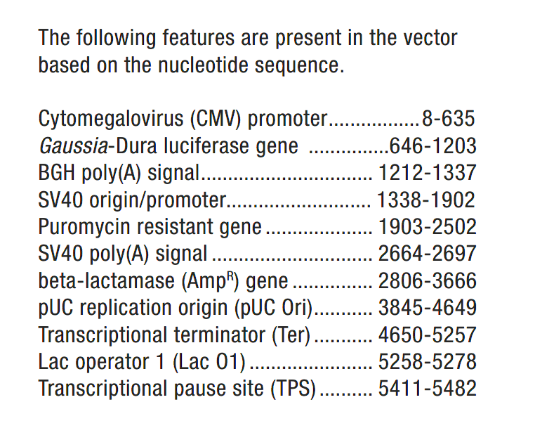 pCMV-Gaussia-Dura-Luc载体特征