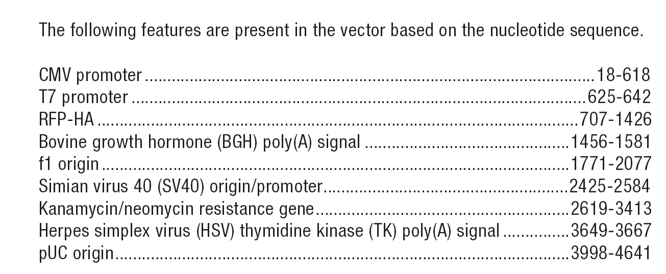 pCMV-RFP-C-HA載體特征
