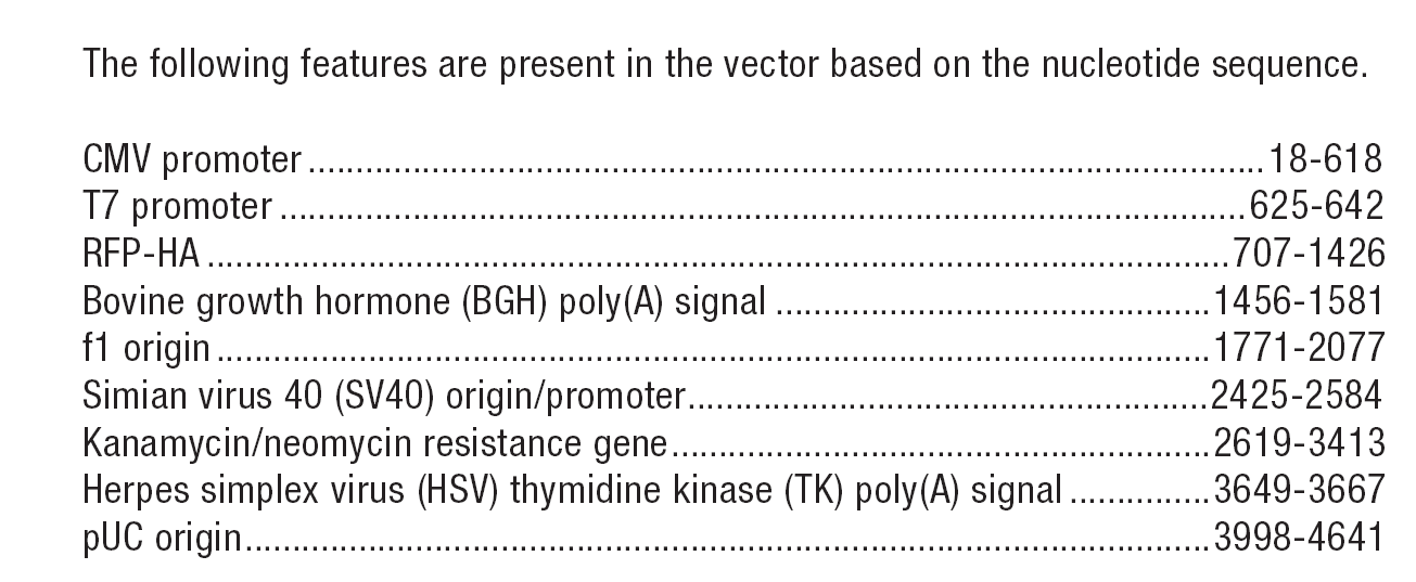 pCMV-RFP-C-HA载体特征