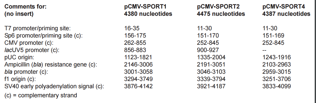 pCMV-SPORT4載體特征