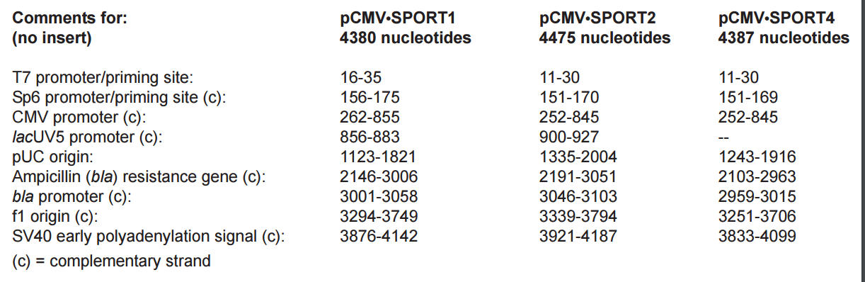 pCMV-SPORT4载体特征