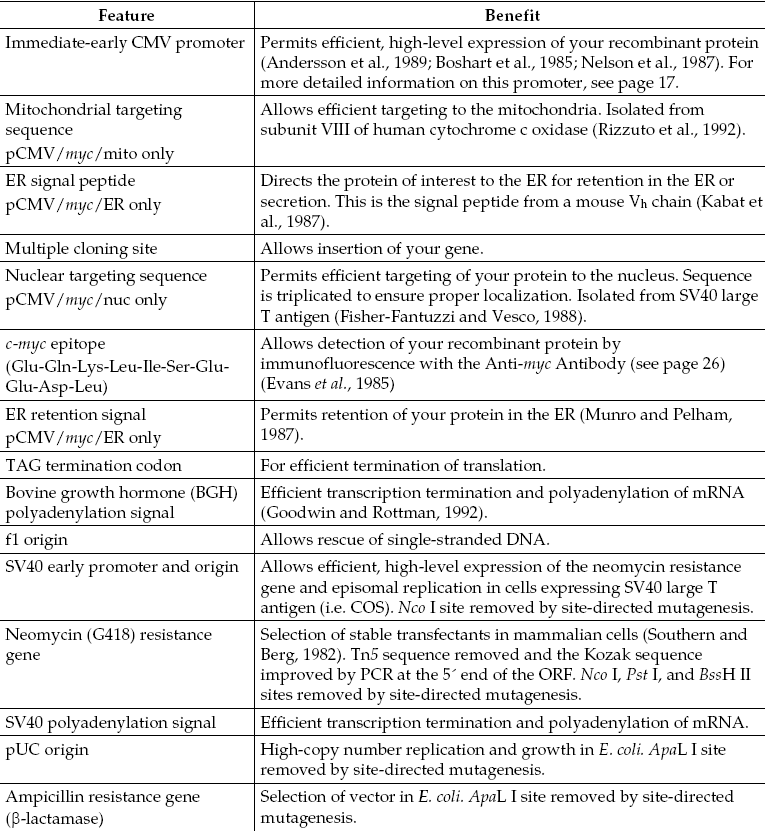 pCMV-myc-Mito载体特征