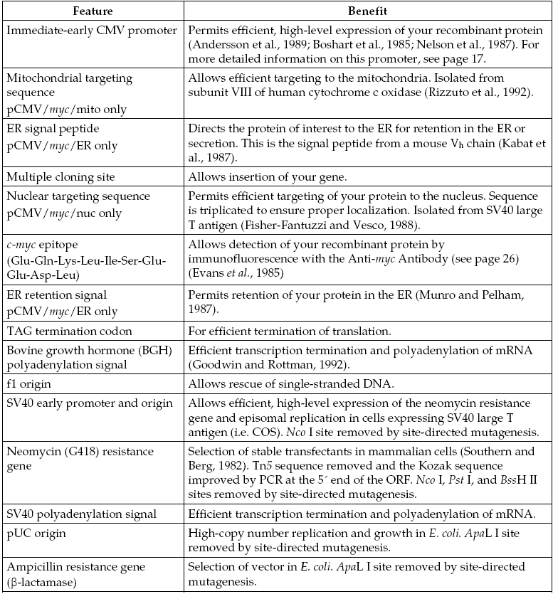 pCMV-myc-cyto載體特征