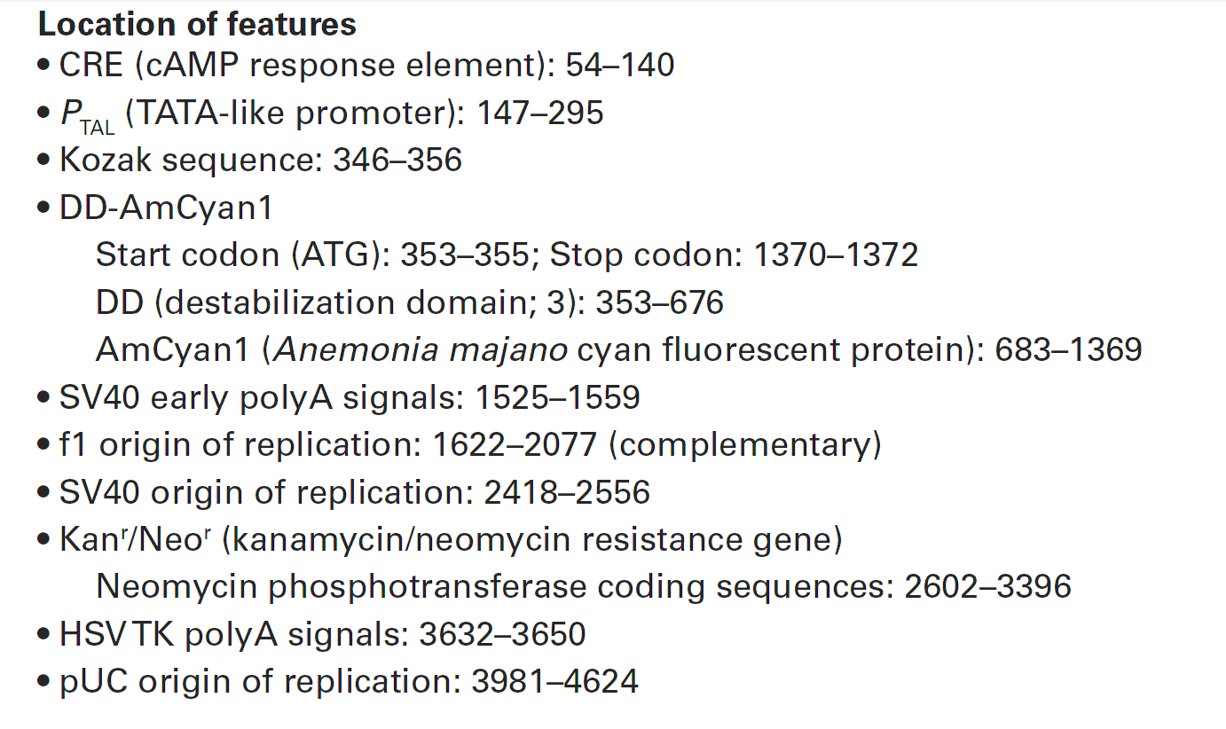 pCRE-DD-AmCyan1 载体特征