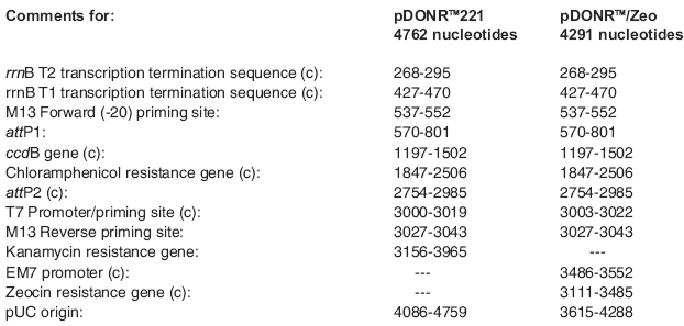 RNAi-Ready pSIREN-RetroQ載體特征