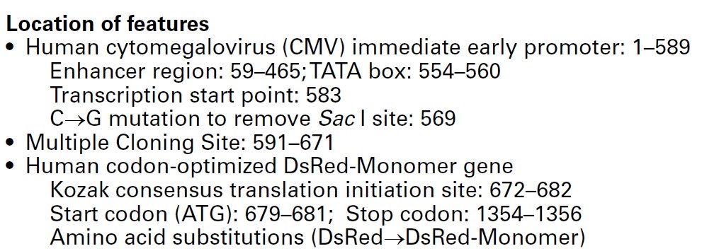 pDsRED-Monomer-N1载体特征