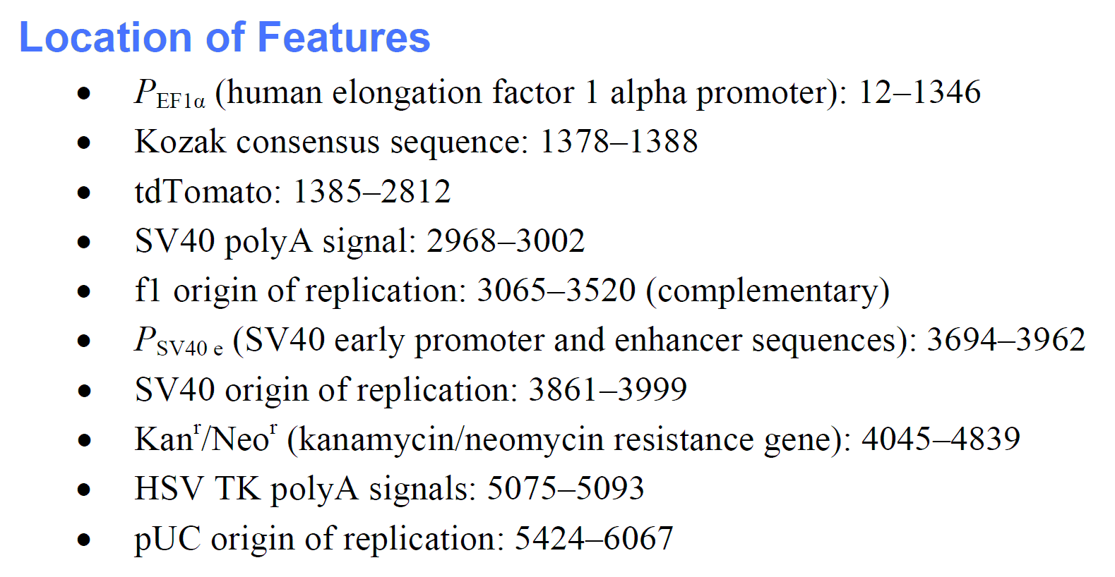 pEF1α-tdTomato 载体特征