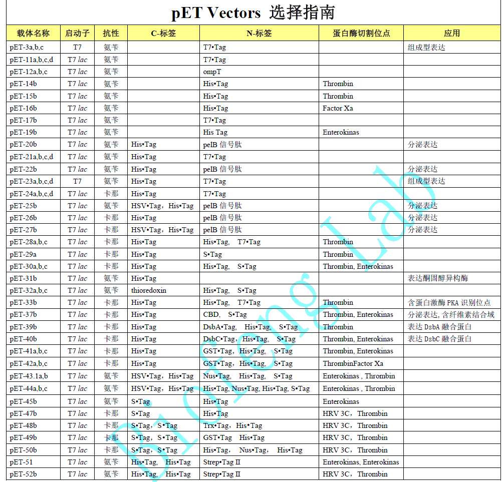 pET Vectors 選擇指南