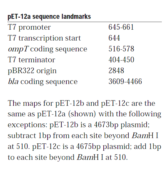 pET-12a 载体特征