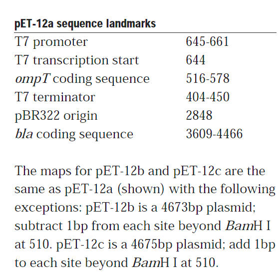 pET-12b 载体特征