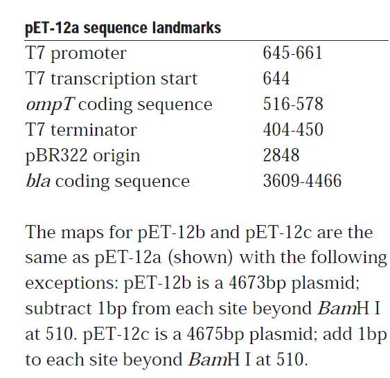 pET-12c 载体特征