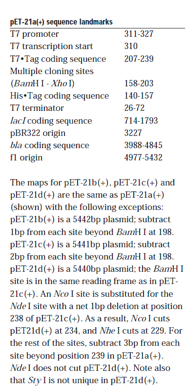 pET-21a载体特征