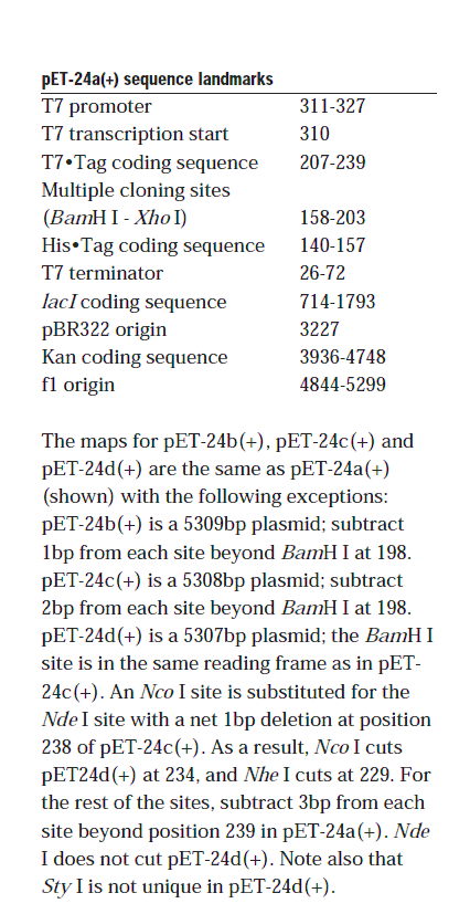pET-24a載體特征