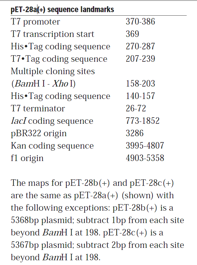 pET-28a载体特征