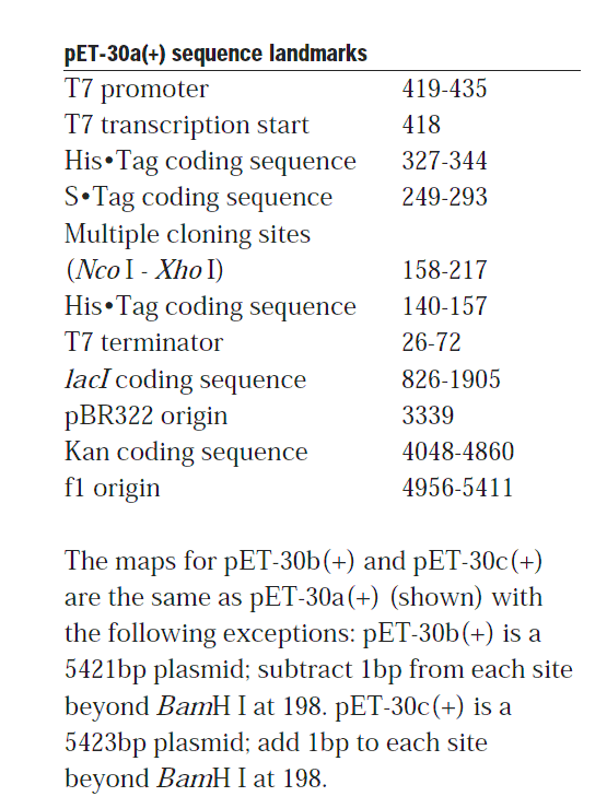 pET-30a載體特征