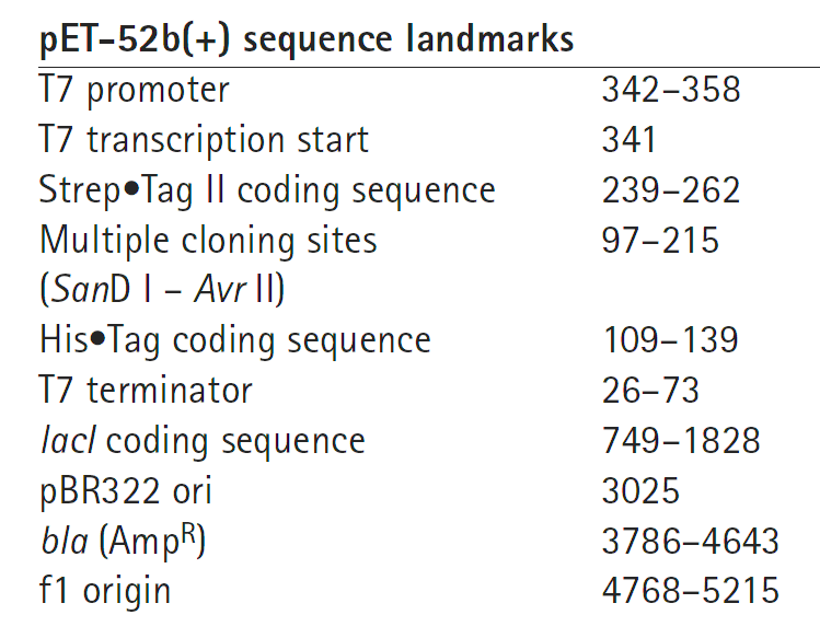 pET52b载体特征