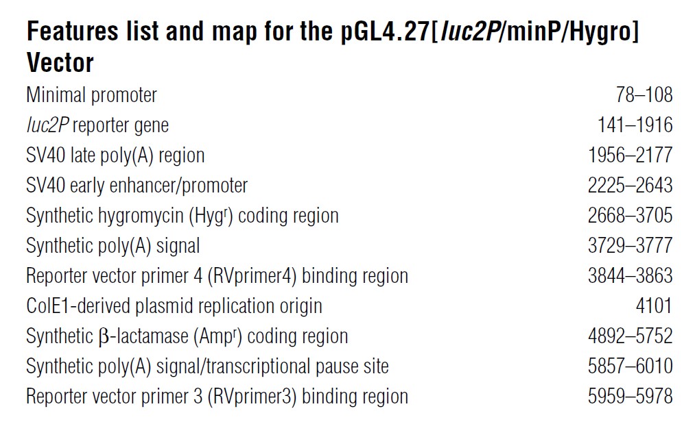 pGL4.27載體特征