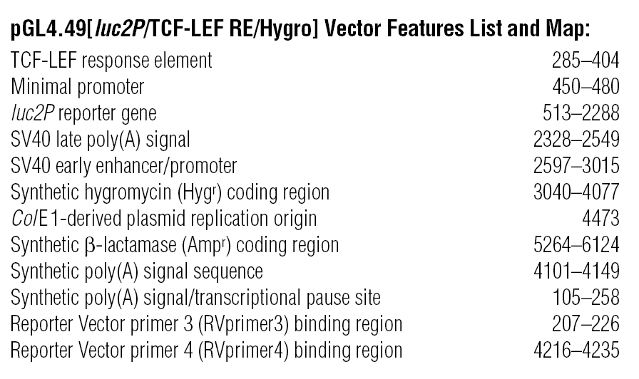 pGL4.49 载体特征
