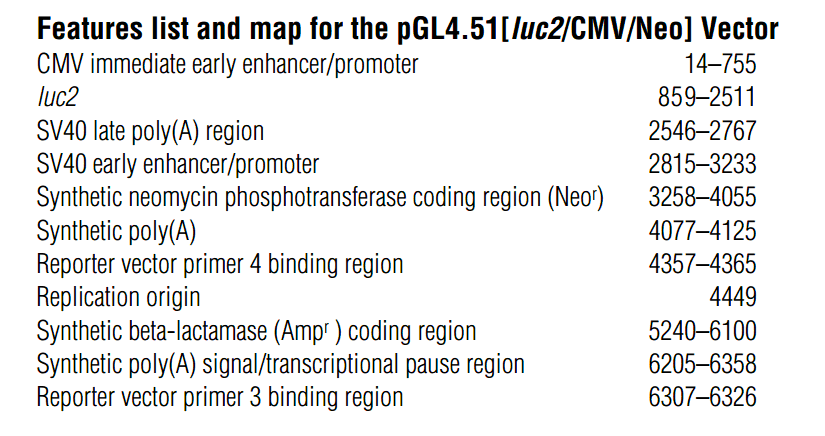 pGL4.51 载体特征
