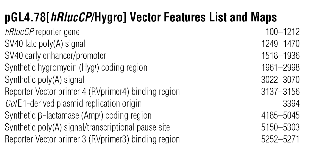 pGL4.78 载体特征