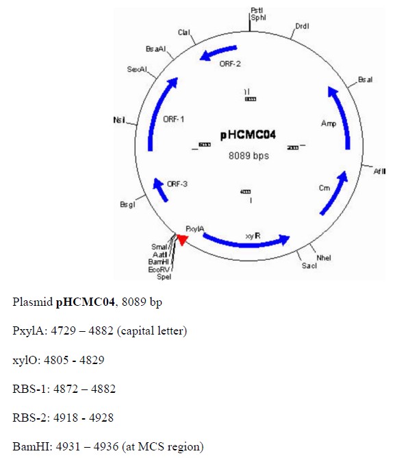 pHCMC04载体图谱