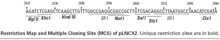 pLNCX2多克隆位点