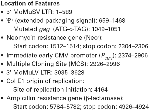 RNAi-Ready pSIREN-RetroQ载体特征