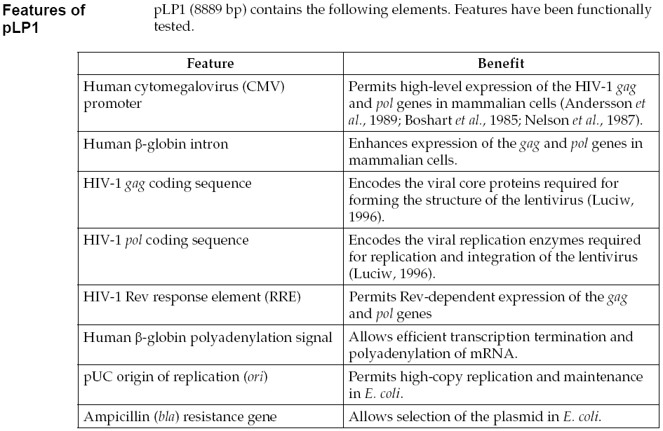 pLP1载体特征
