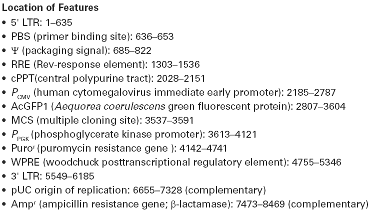 pLVX-AcGFP1-C1載體特征