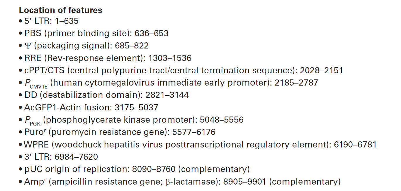 pLVX-DD-AcGFP1-Actin 载体特征