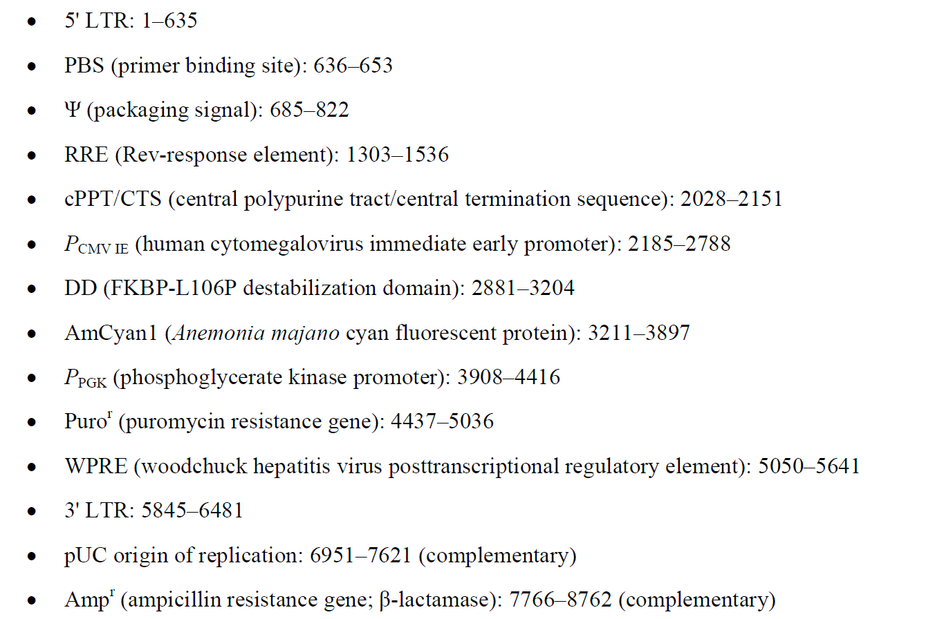 pLVX-DD-AmCyan1 Control 载体特征