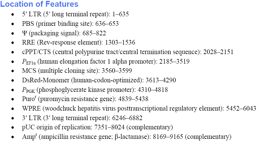 pLVX-EF1α-DsRed-Monomer-N1載體特征