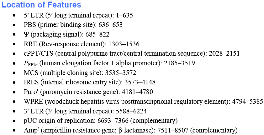 pLVX-EF1α-IRES-Puro载体特征