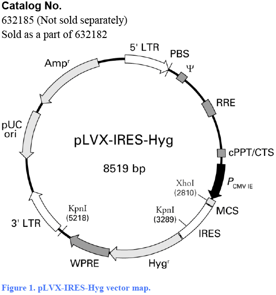 pLVX-IRES-Hyg载体图谱